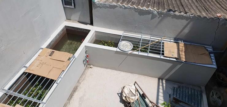 Người phụ nữ ở Hà Nội xây bể nuôi cá tại sân nhà, tiết kiệm tiền mua cá cả năm - 6