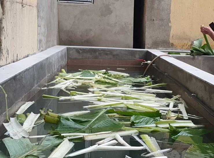 Người phụ nữ ở Hà Nội xây bể nuôi cá tại sân nhà, tiết kiệm tiền mua cá cả năm - 1